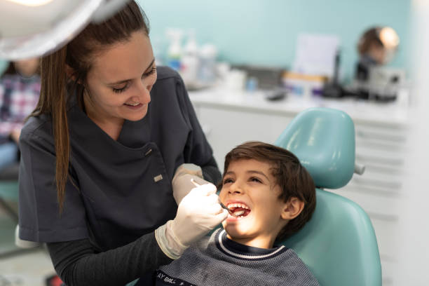 Best Emergency X-Rays and Diagnostics in South Hutchinson, KS